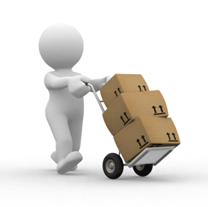 Courier Shipping Countries